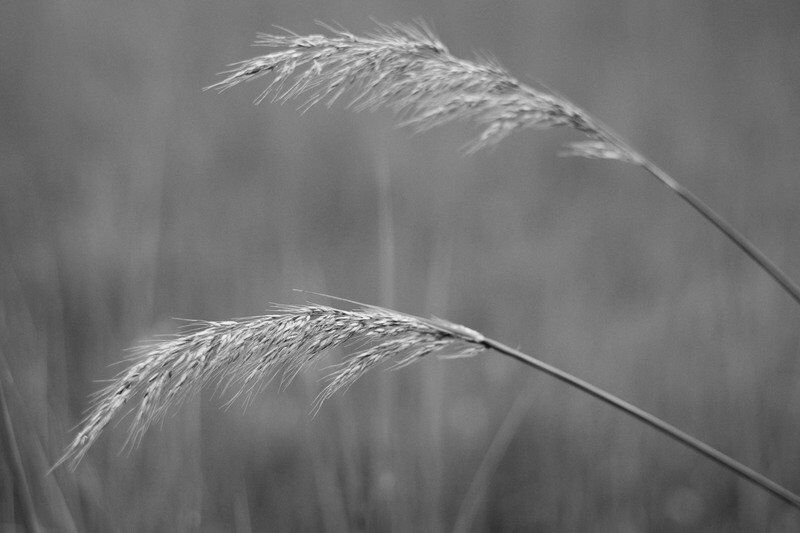 Picture This: finding your way as a photographer